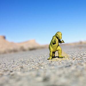 Toy dinosaur in middle of road.