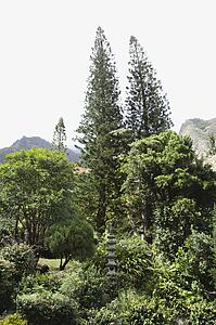 Iao Valley State Park in Maui, Hawaii
