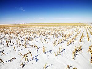 Desolate snow covered corn field in the Midwestern, USA