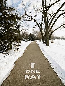Paved path in park reading one way.