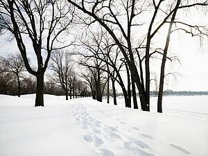 Snow covered trail with footprints at park in Minneapolis, Minnesota