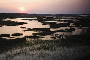 Aerial view of pier in coastal wetland on Bald Head Island, North Carolina