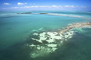 Everglades National Park from above.