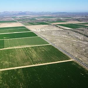 Aerial view of farmland in barren landscape of Arizona