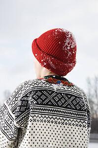 Back view of a boy wearing sweater and red winter cap