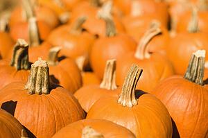 Group of pumpkins at produce market.