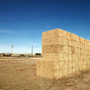 Bales of hay in rural landscape