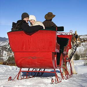 Rear view of man driving horse drawn sleigh with couple looking back at viewer.