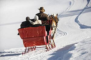 Rear view of Caucasian man and young couple riding in horse-drawn sleigh in snow.