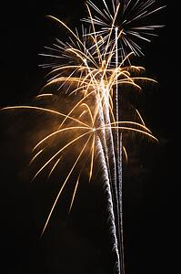 Colorful fireworks exploding in night sky.