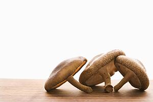 Three brown mushrooms on wooden cutting board with white background.