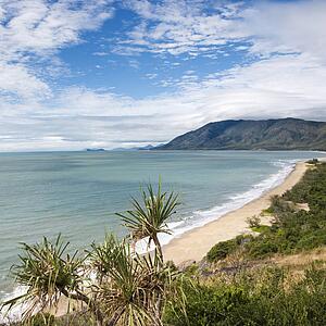 Scenic coastal view from Queensland Rex Lookout with mountains in background and grassy vegetation in foreground.