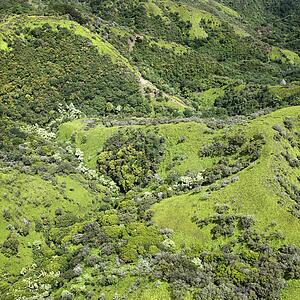 Aerial view of rolling rainforest hills in Maui, Hawaii.