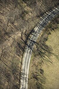 Aerial view of rural country dirt road with bare trees. 