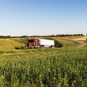 Semi tractor truck on rural road with green plants on shoulder