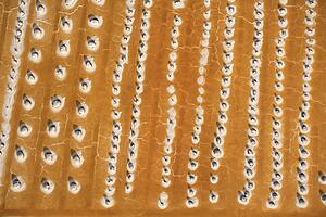 Aerial of alkali flat in Owens Valley, California, USA.