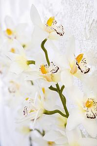 Close up of silk Orchid flowers on stem.