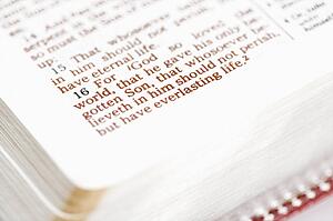 Selective focus of verses in open Holy Bible.