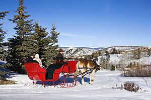 Couple in horse-drawn sleigh in snow