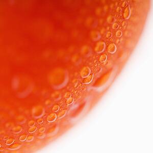 Close up of wet red ripe tomato against white background.