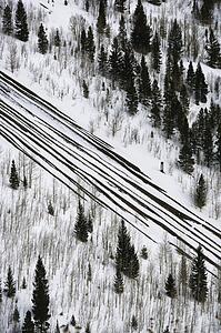 High angle view of snowfall sweeping over road with evergreen trees.