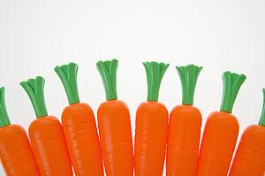 Bunch of plastic carrots lined up on white background.