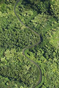 Aerial view of winding road through lush green forest in Maui, Hawaii