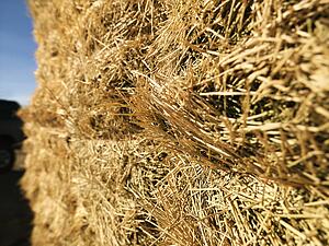 Close up shot of bale of hay