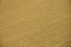 Aerial of rows in agricultural cropland.