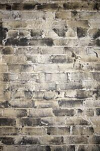 CLose up detail shot of brick wall.