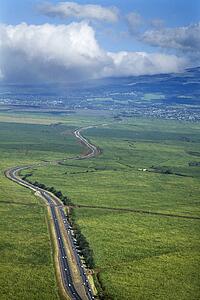 Road cutting through cropland in rural Maui, Hawaii.