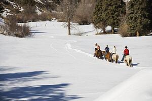 People horseback riding in snow 