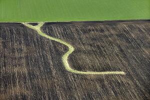 Aerial view of farmland with curvy path 