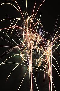 Colorful fireworks exploding in night sky.