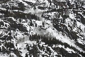 Snow covering steep mountainside with trees.