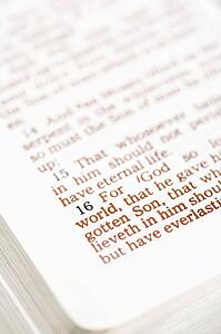 Selective focus of verses in open Holy Bible.