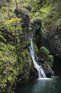 Waterfall surrounded by lush green vegetation in Maui, Hawaii