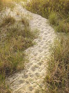 Sandy footpath leading to beach through grass.