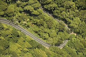 Winding scenic highway with trees in California USA