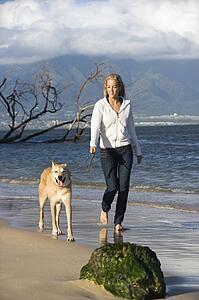Woman walking brown dog on leash