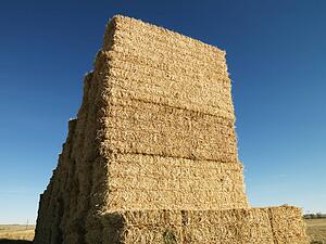 Stack of bales of hay in rural setting