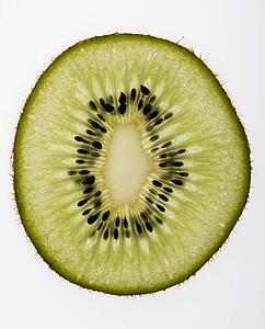 Close up of single kiwi fruit slice on white background.