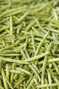 Pile of green beans at produce market.