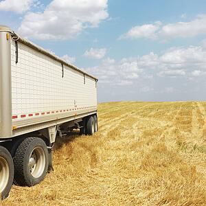 Tractor trailer truck in harvested crop field.