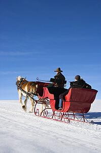 Man driving horse drawn sleigh with couple in back