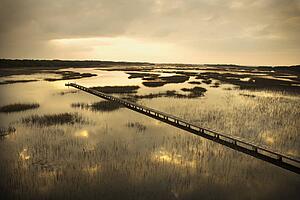 Scenic wooden walkway stretching over wetlands at sunset on Bald Head Island, North Carolina.