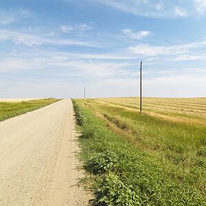 Dirt road through rural farmland of the American midwest