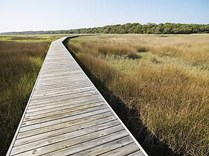 Wooden boardwalk stretching over marsh at Bald Head Island, North Carolina
