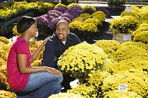 Couple picking out fall flowers