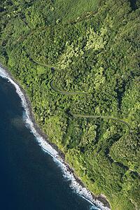 Aerial view of winding road along coastline through lush green forest in Maui, Hawaii.